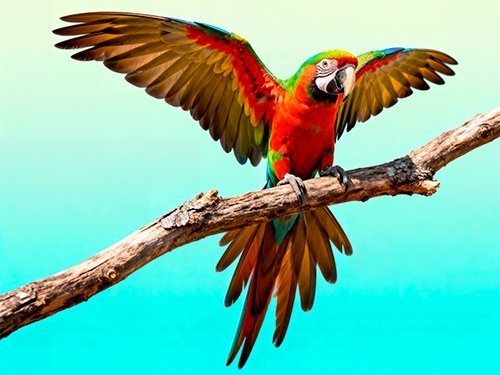 Coloque um animal em uma cena estilizada