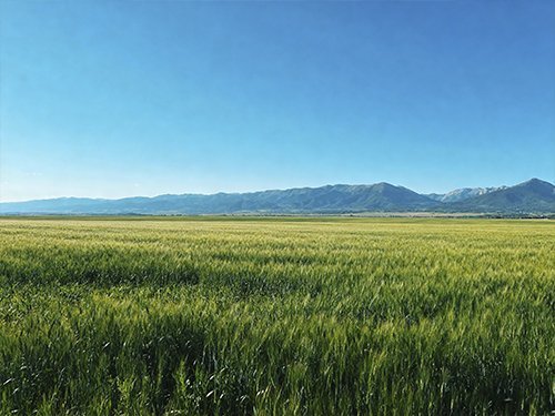 Enderezar el horizonte