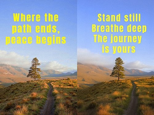 Replace text in image