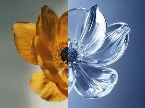 Blend two images into new style