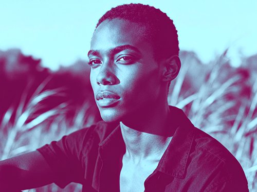 Añade un efecto duotono