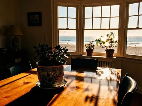 Cambiar la vista de la ventana