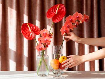 Create modern floral arrangement